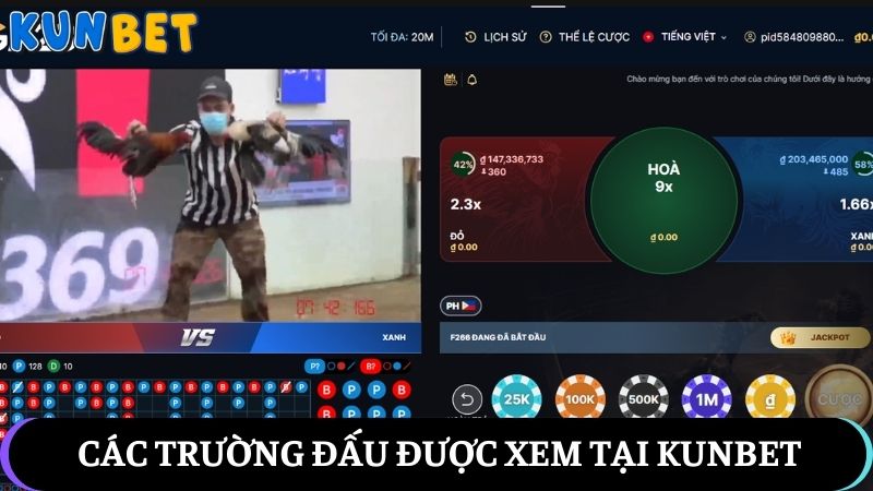 Các trường đấu được xem tại sảnh game nhà cái Kunbet
