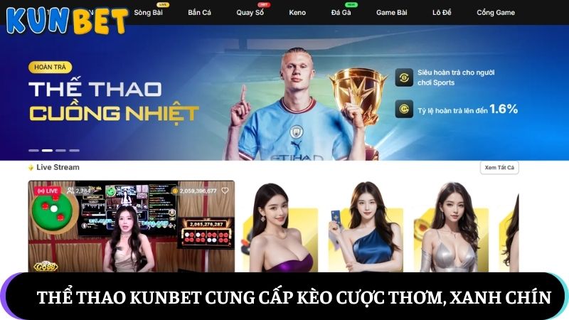Thể thao Kunbet - Cung cấp kèo cược thơm, xanh chín hàng ngày