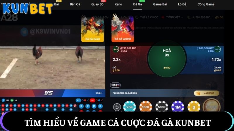 Tìm hiểu về game cá cược đá gà Kunbet