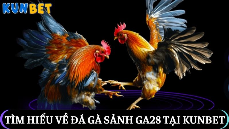 Đá gà sảnh GA28
