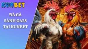Đá gà sảnh GA28