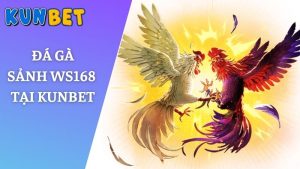 đá gà sảnh WS168