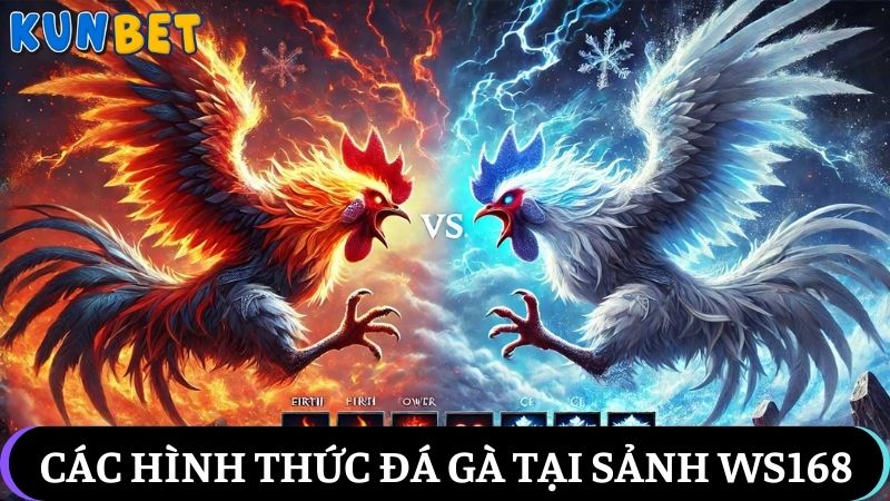 hình thức cá cược đá gà sảnh WS168