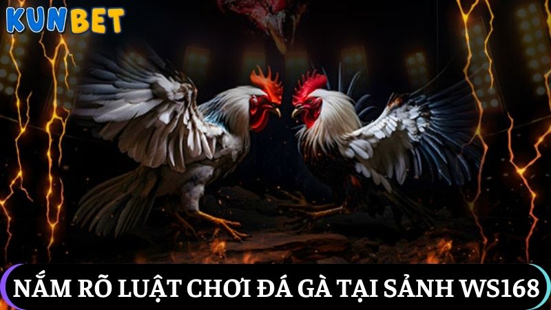quy tắc đá gà sảnh WS168