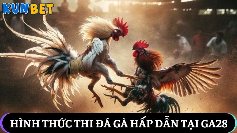 loại hình thi đấu Đá gà sảnh GA28