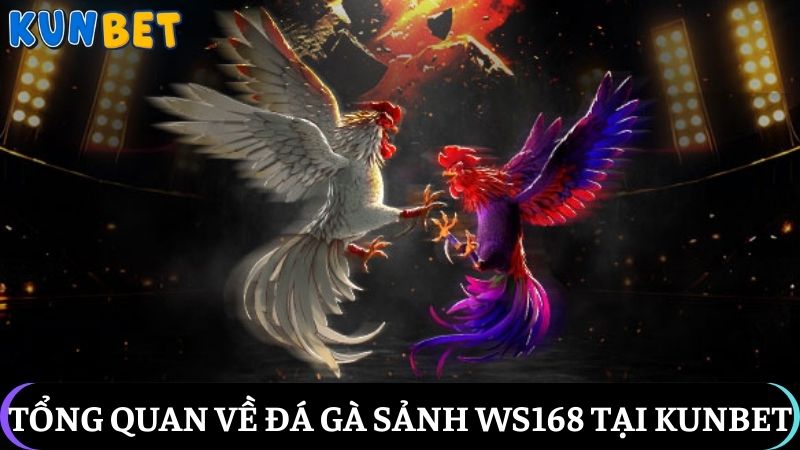đá gà sảnh WS168
